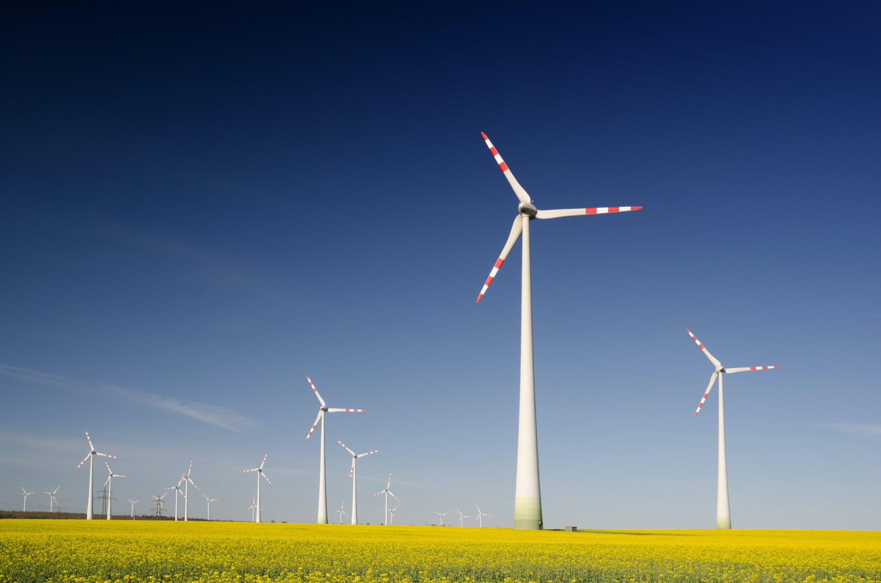 Dozens of large windmills in a wide open field